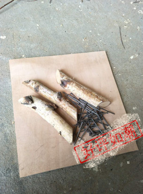 木板底板底座白桦树固定装饰
