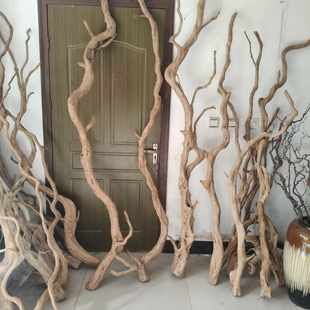 天然杜鹃根造型树枝干支花艺装饰材料鱼缸沉木造景微景观造景藤条