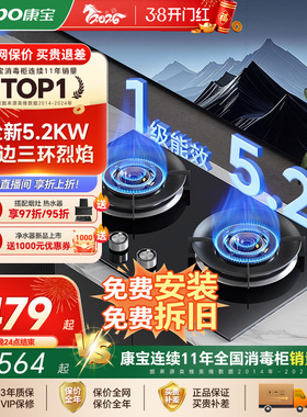 Canbo/康宝 2QB532灶具燃气灶天然气双灶家用大火力双边定时灶