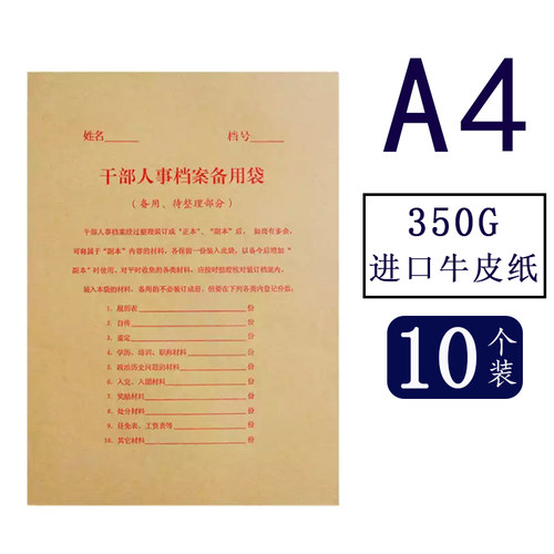 10个a4干部人事档案袋