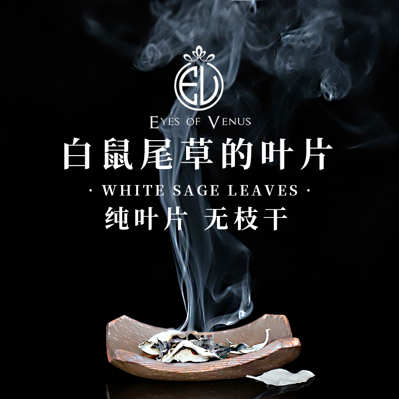 美国加州白鼠尾草净化香薰无枝干纯叶white sage leaves 纯叶片