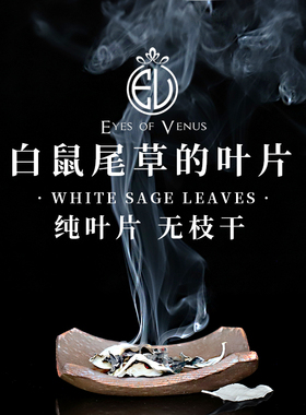 美国加州白鼠尾草净化香薰无枝干纯叶white sage leaves 纯叶片