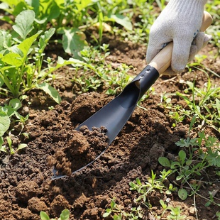 多功能锰钢园艺铲平铲尖铲种花铲家用户外挖野菜铲养花园艺工具