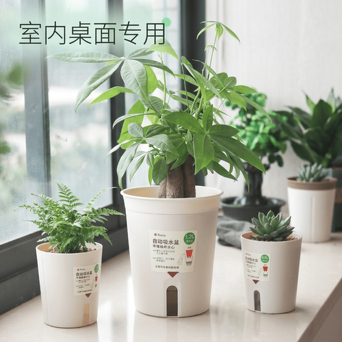 室内桌面绿萝水培植物储水小花盆