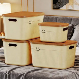 收纳盒桌面杂物零食玩具家用长方形整理篮塑料筐置储物盒带盖箱子