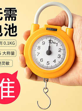 弹簧秤高精度手提称便捷式家用随身带小勾称小型手提多功能电子称
