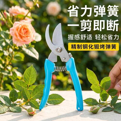 园艺剪刀修枝剪摘果剪花艺不锈钢