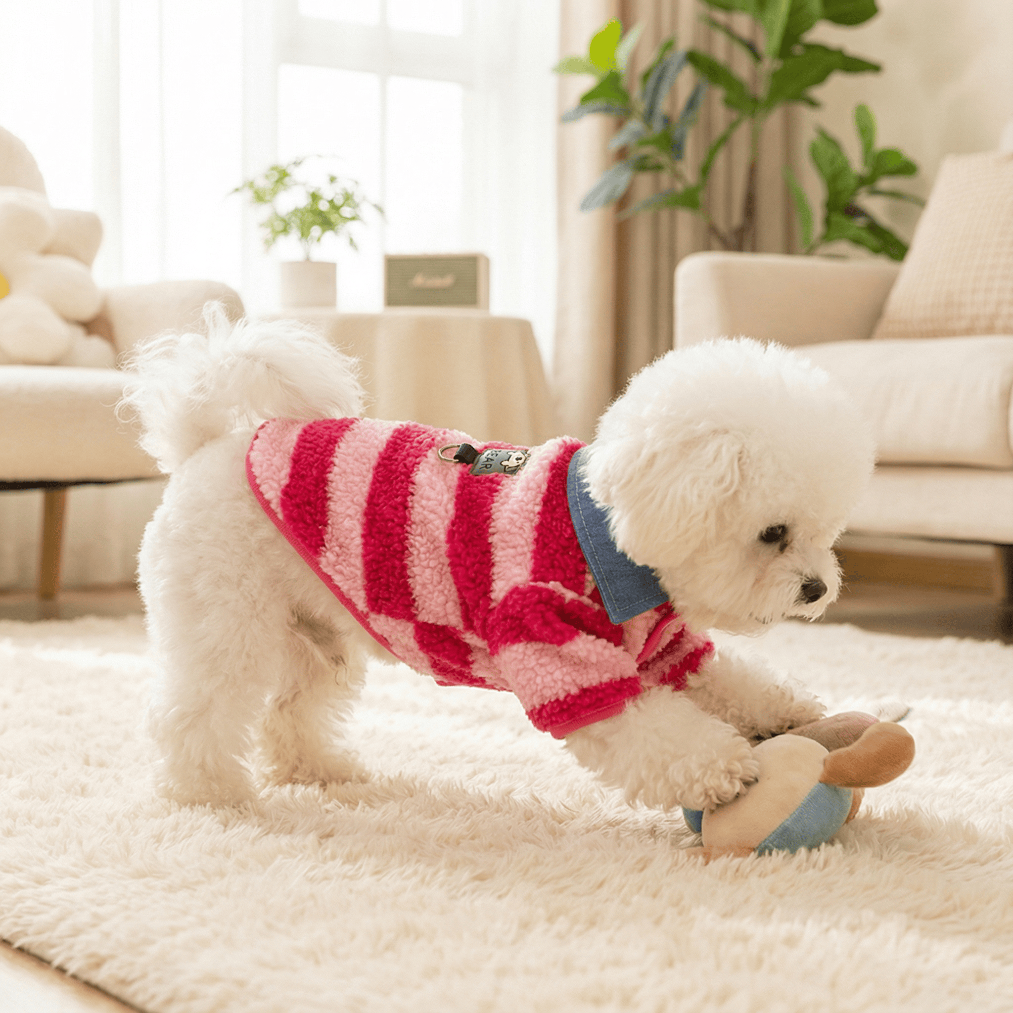 秋冬季狗衣服条纹衬衫领两脚绒衣加厚保暖秋天宠物服饰猫衣服家用,宠物/宠物食品及用品,狗宠物服装/雨衣,淘宝优惠券,粉丝福利购,淘宝优惠卷