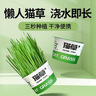 懒人猫草罐头宠物猫草水培土去毛球助消化零食泡面猫草盆栽小麦草
