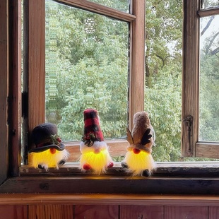 饰氛围小灯 圣诞老人圆滚滚可挂毛绒装 green house