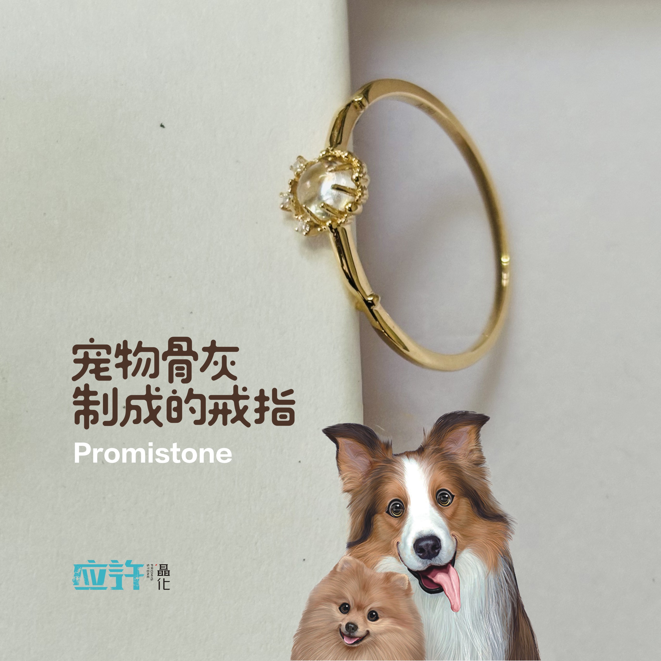 猫咪诊所送朋友送家人应许晶化