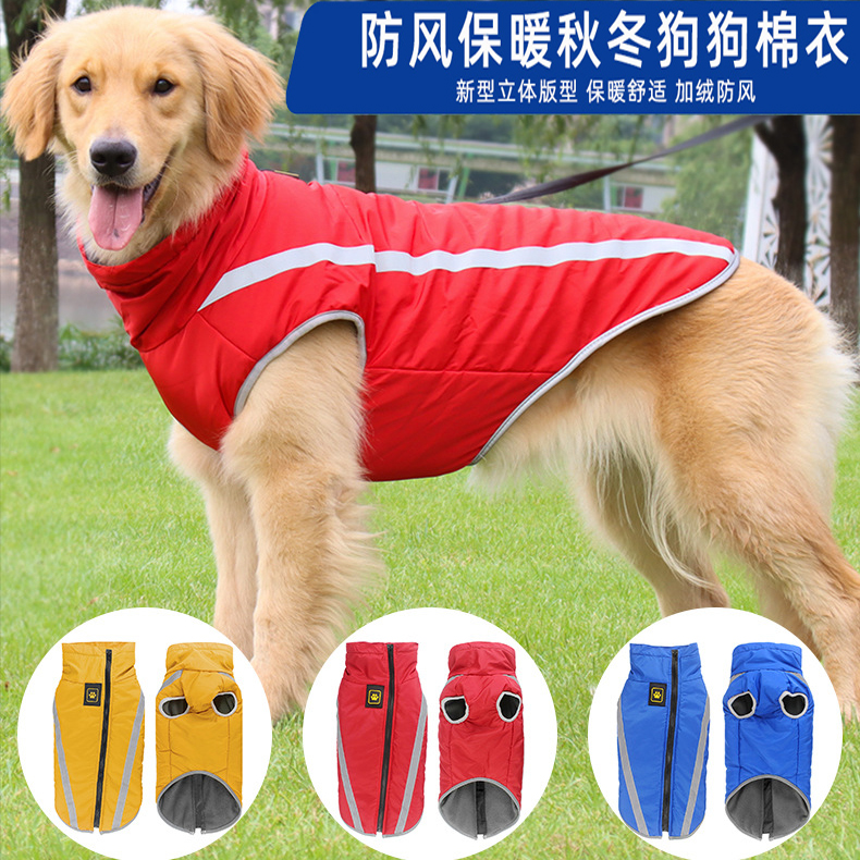 萨摩耶冲锋衣拉布拉多中大型犬