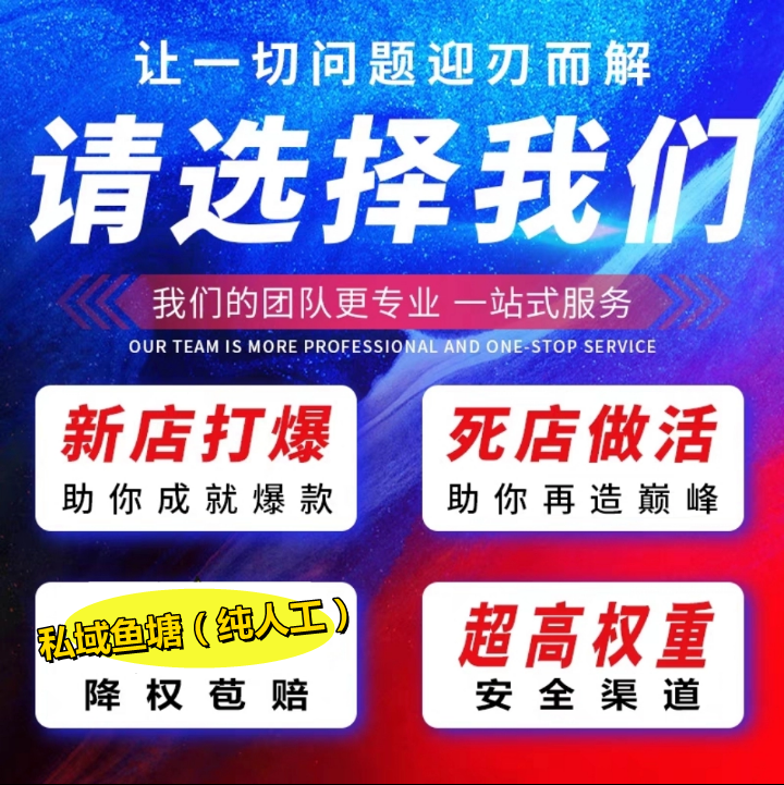 淘宝s店铺代运营多多放做网店直通车托管鱼塘b补充抖小新店平台单