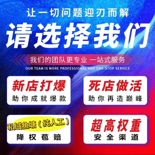 淘宝s店铺代运营多多放做网店直通车托管鱼塘b补充抖小新店平台单