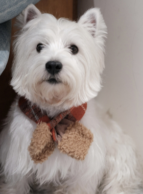 狗狗猫咪围巾秋冬保暖Harris tweed泰迪比熊雪纳瑞西高地宠物围脖