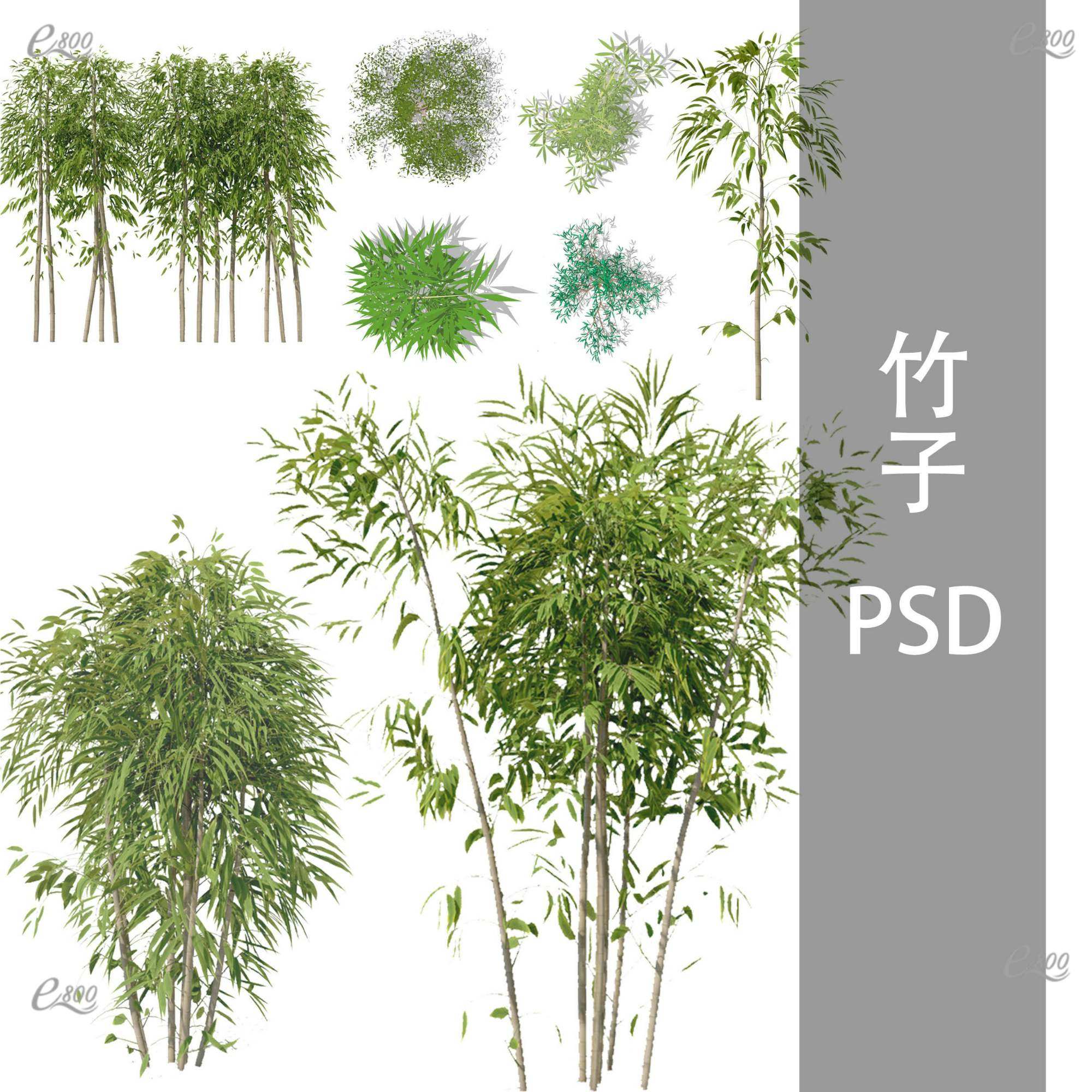ps竹子素材 平面立面效果图竹子高清psd素材