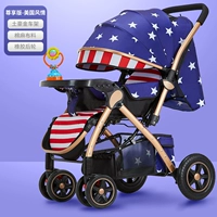 Длинный, США, 40×95см