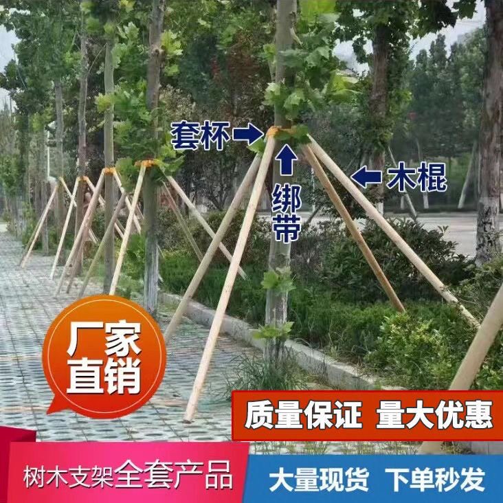 树木支撑固定器支撑架杆杉木松木杨木棍园林绿化防风工程稳定支架