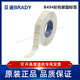 494 25.4x25.4mm定制代打印贝迪BRADY彩色聚酯标签 179 THT