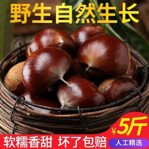 2025新货秦岭新鲜野生板栗零食