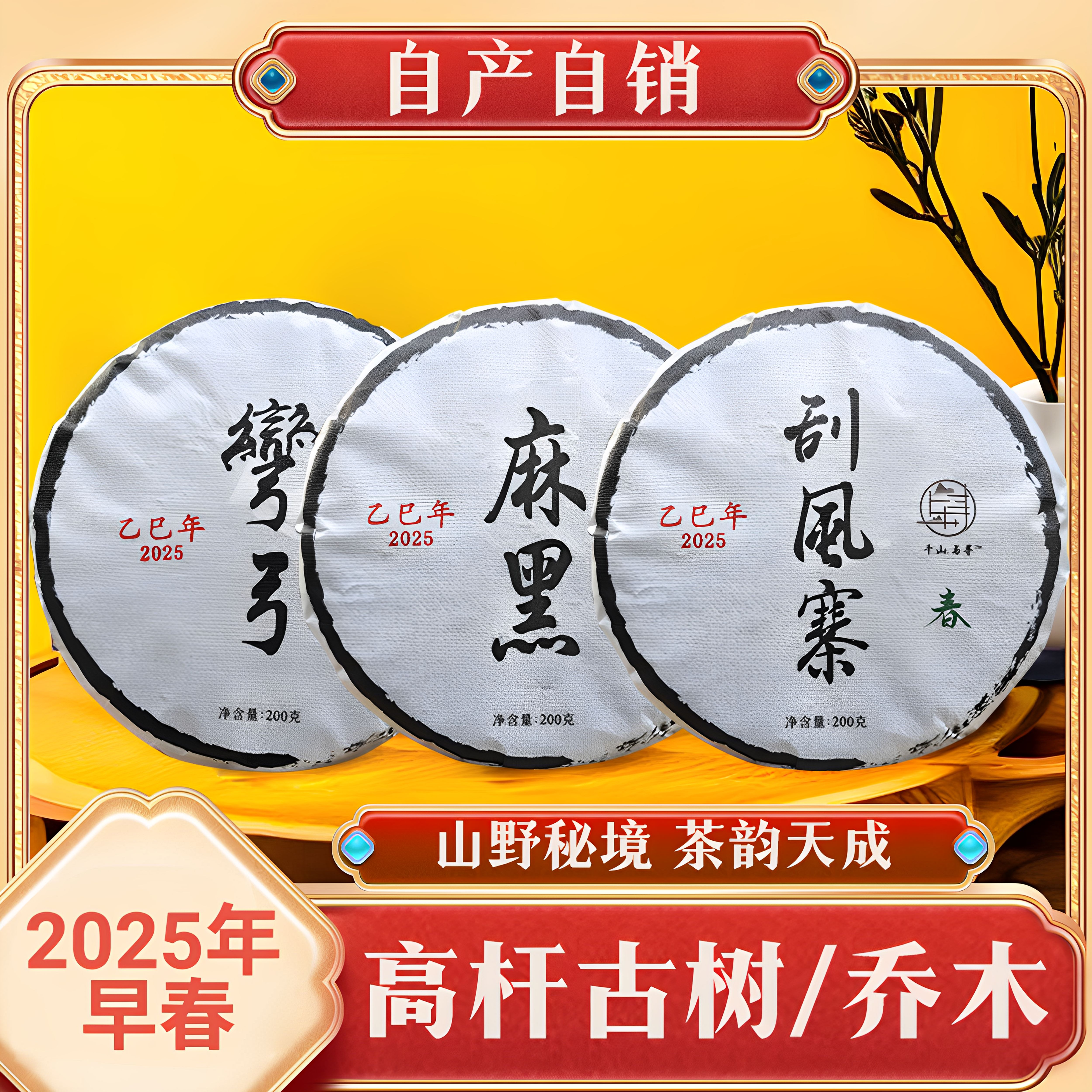 【2025年】易武麻黑/刮风寨/弯弓 头春高杆古树/乔木 200克茶饼
