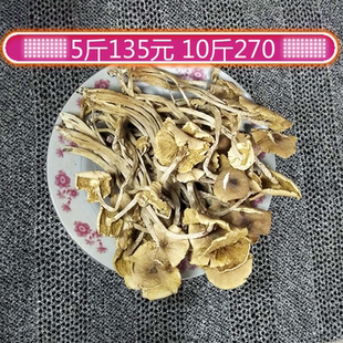 开伞干茶树菇干货500g一斤装新鲜非野生江西广昌茶薪菇19年新货