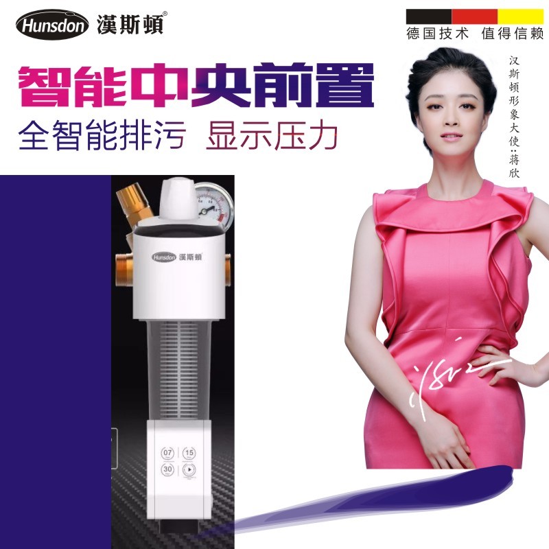 正品包安装汉斯顿净水器前置过滤器自动排污反冲洗过滤器HSD-M2W