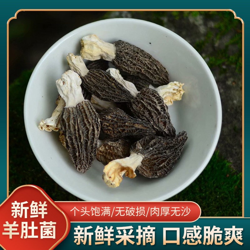 羊肚菌干货福建武夷山150g羊肚菇煲汤食材包邮