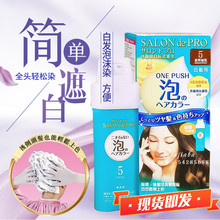 日本沙龙级无味泡泡染发剂Dariya黛莉亚泡沫染发膏遮盖白发