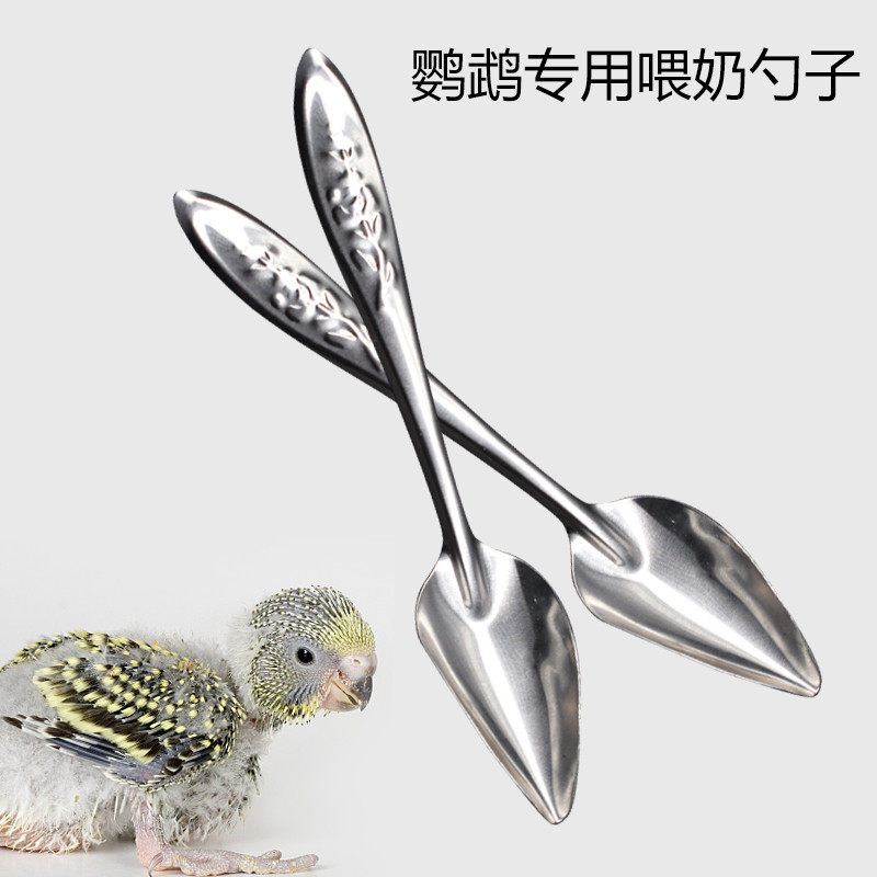 虎皮牡丹玄风鹦鹉雏鸟喂奶勺奶粉喂食器手养鹦鹉药勺喂食工具,宠物/宠物食品及用品,鸟禽喂食器/喂水器,淘宝优惠券,粉丝福利购,淘宝优惠卷