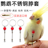 鹦鹉鸟用脖套不锈钢小型鸟脖套牡丹虎皮训鸟绳玄风小大阳栓鸟脖套