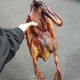 乡下喂养腊肉土鸭 湖南特产烟熏腊鸭 腊板鸭肉鸭腊肉全鸭 包邮