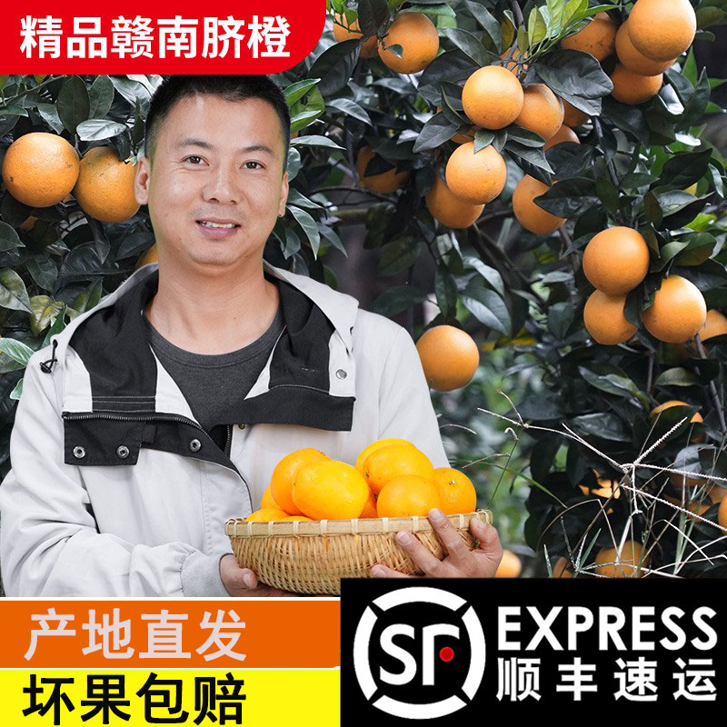 正宗江西赣南脐橙新鲜顺丰直发