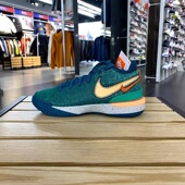 Zoom 101 LeBron 气垫篮球鞋 Nike 301 NXXT詹姆斯男款 DR8788 002