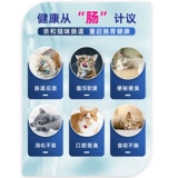 Правильный пробиотик Cat Mag Cat, содержащий дрожжевых кошек Bradil