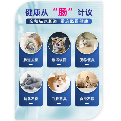 Правильный пробиотик Cat Mag Cat, содержащий дрожжевых кошек Bradil