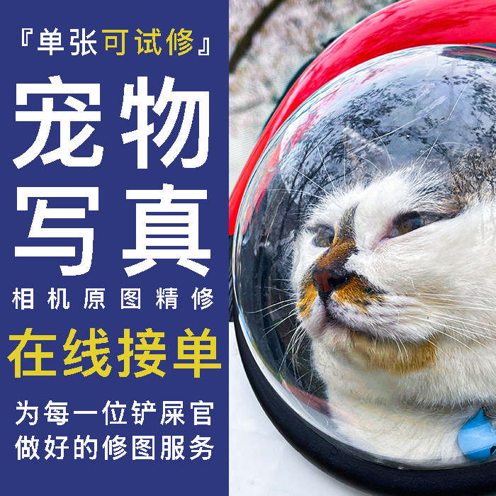 2026马年宠物写真底片精修 猫狗照片专业单反拍摄P图 工作室修图