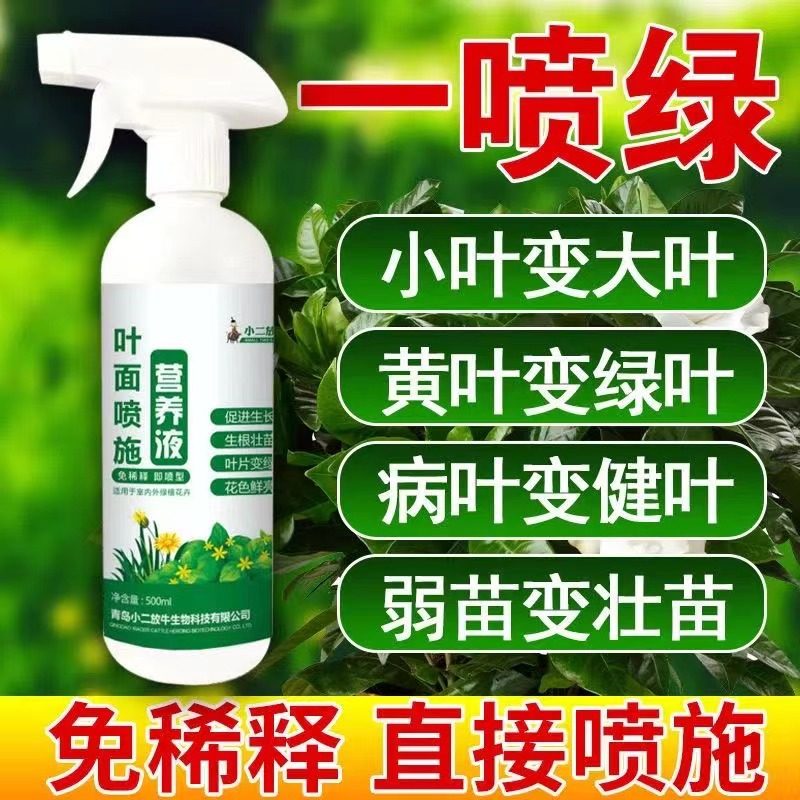 叶绿素通用型营养液一喷绿黄叶变绿叶面肥长春花,鲜花速递/花卉仿真/绿植园艺,家庭园艺肥料,淘宝优惠券,粉丝福利购,淘宝优惠卷