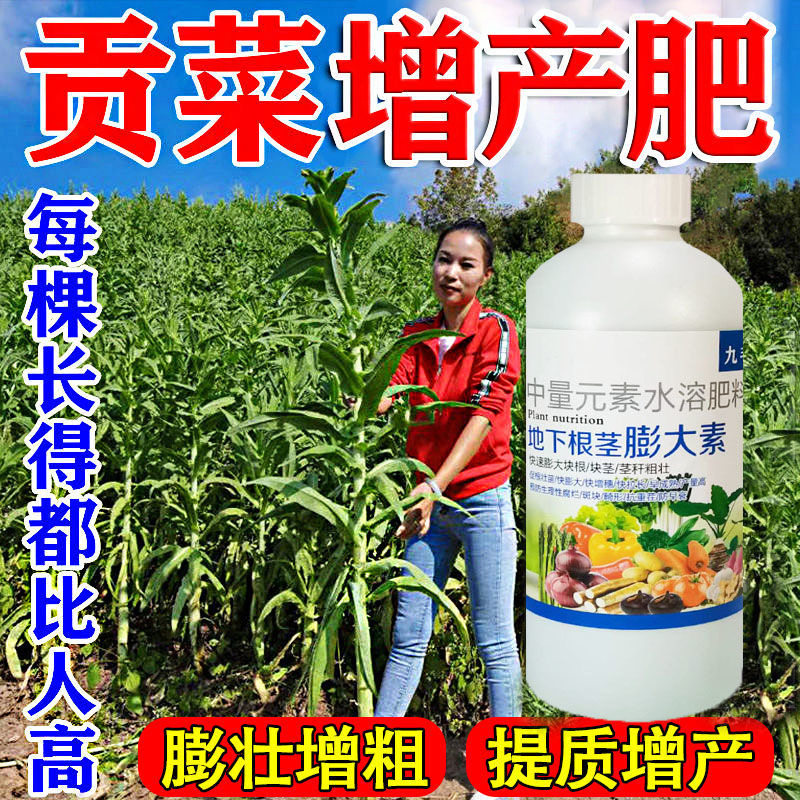 大蒜膨大素山药专用膨大素地下猛长膨大剂拉直拉长素增粗,鲜花速递/花卉仿真/绿植园艺,家庭园艺肥料,淘宝优惠券,粉丝福利购,淘宝优惠卷