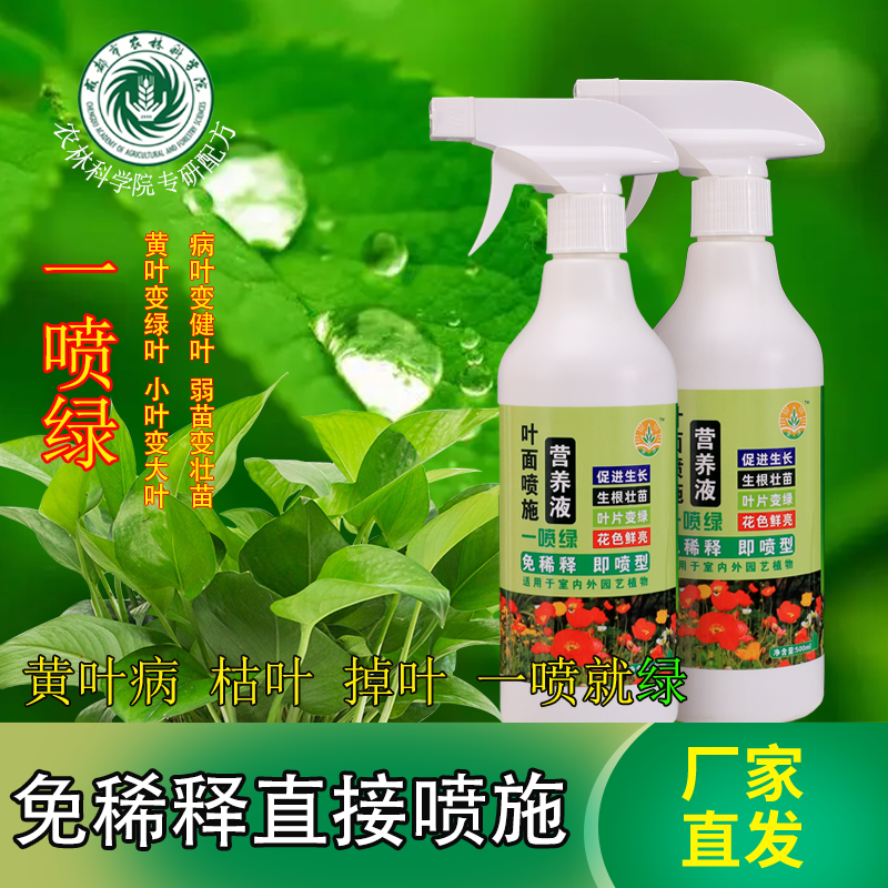 叶绿素水溶肥料一喷绿黄叶变绿叶面肥君子兰,鲜花速递/花卉仿真/绿植园艺,家庭园艺肥料,淘宝优惠券,粉丝福利购,淘宝优惠卷