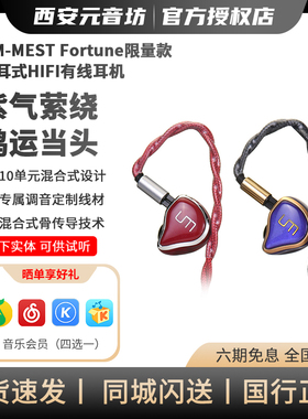 UM Mest系列Fortune 三重骨传导全频均衡HiFi有线入耳式耳机