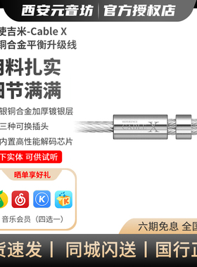 TANCHJIM天使吉米CABLE X银铜合金TYPE C、3.5、4.4mm平衡升级线