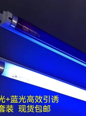 知了灯诱蝉灯套装支架T840W 1.2M 30W0.9M蓝光紫光荧光诱蚊虫灯管