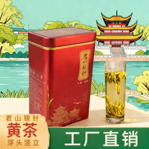 湘岛黄茶君山银针茶叶