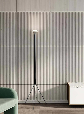 意大利Luminator 创意灯设计师款客厅卧室床头现代简约氛围落地灯