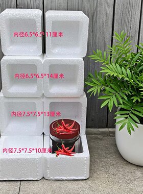 批发保鲜辣椒酱泡沫盒
