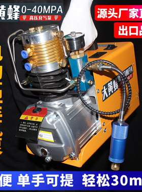 高压打气机30mpa小型电动高压充气泵消防瓶潜水瓶充气泵40MPA水冷