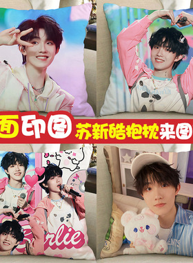 苏新皓手办周边周边抱枕diytop登陆少年tf家族三代娃娃玩偶应援生