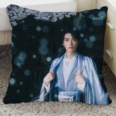 云之羽沙发抱枕女生睡觉专用张凌赫宫子羽周边虞书欣丞磊二哥明星