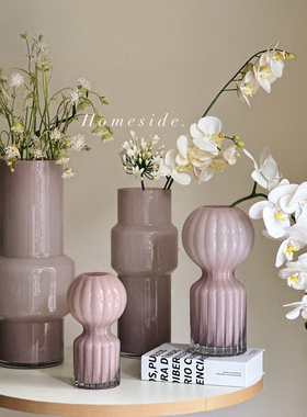 Homeside脏脏粉玻璃花瓶ins北欧粉色系列不规则水培艺术花器客厅